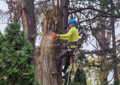 Alpinism utilitar bucuresti