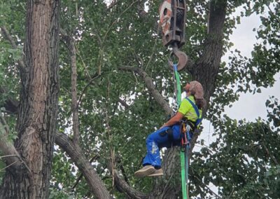 alpinism utilitar bucuresti